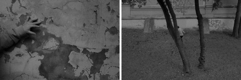 пни, опека, дееспособность, психбольница, детдом,